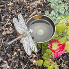 5065022557296 1 Bee Drinker Bee Cup Stake Ornament for Garden Wildlife Dragonfly.jpg